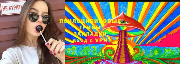 прущий лед Алексин
